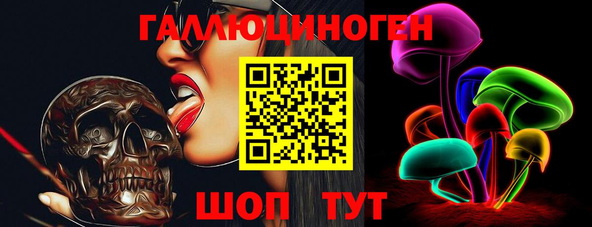Галлюциногенные грибы GOLDEN TEACHER  Вход с VPN  Новоалтайск 