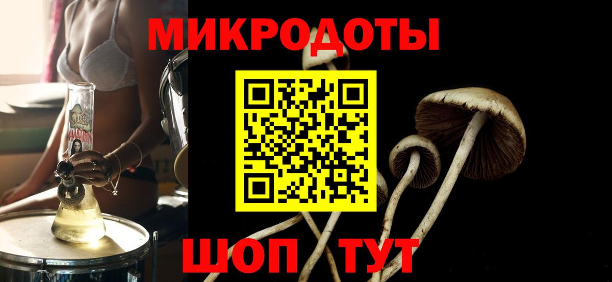Псилоцибиновые грибы ЛСД Новоалтайск